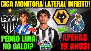 🚨 GALO DE OLHO EM LATERAL DIREITO DO FC PORTO B! PEDRO LIMA NO GALO? CIGA MONITORA A SITUAÇÃO!