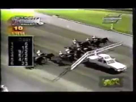 1994 Freehold Raceway - Dexter Cup Final - (Purse $154,099 ) MR LAVEC