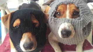 When I Get Out (MASKED INTRUDER cover)