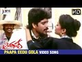 Chaitanya Telugu Movie Songs | Paapa Eedu Gola Video Song | Nagarjuna | Gautami | Ilayaraja