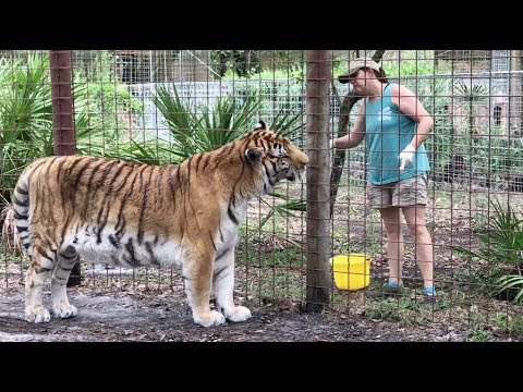 Evening at Big Cat Rescue with Jen and Becky