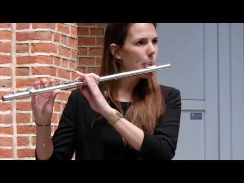 Los Zaperos altijd fun - "Disco Dzumbus"