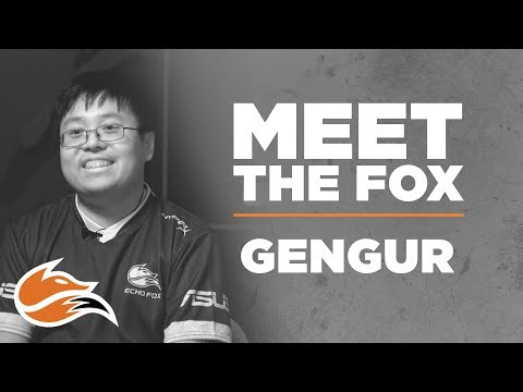 Meet the Fox: Gengur