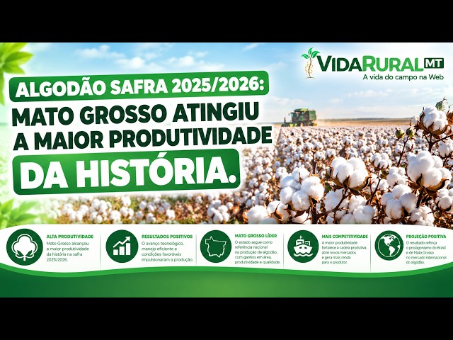 MATO GROSSO ATINGIU A MAIOR PRODUTIVIDADE DA HISTÓRIA