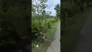 Download lagu POP SUNDA FULL ALBUM TERBARU 2024 mp3