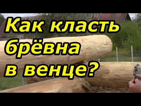 Принципы укладки брёвен в венце. Сруб своими руками. Часть 11/2.