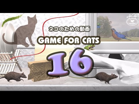 【猫用動画MIX16】ネズミ・紐・蛙・猫じゃらし 30分 GAME FOR CATS 16