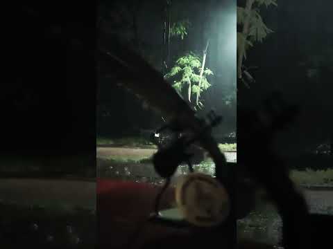 #aguaray #cultura #salta#música