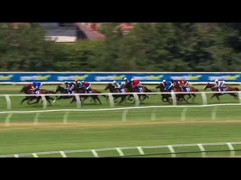 2026 Hyland Race Colours Autumn Stakes G2 - Observer (觀察家) - E Brown