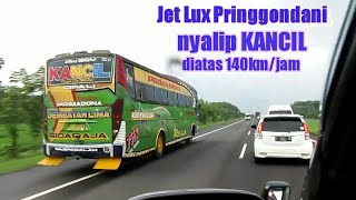 Download lagu Gokil..lihat aksi bus Luragung KANCIL lari goyang kanan kiri di Cipali mp3 Download lagu Gokil..lihat aksi bus Luragung KANCIL lari goyang kanan kiri di Cipali mp3