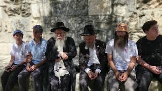 התועלות מצפייה אל מקום הקודש | הרב יצחק ברנד  (ישיבת הר הבית) - התמונה מוצגת ישירות מתוך אתר האינטרנט יוטיוב. זכויות היוצרים בתמונה שייכות ליוצרה. קישור קרדיט למקור התוכן נמצא בתוך דף הסרטון