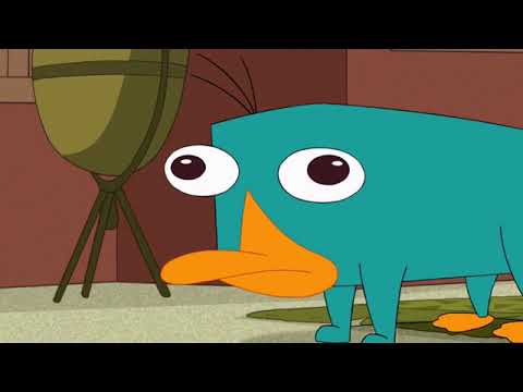 Perry The Platypus Growl Sound Effect