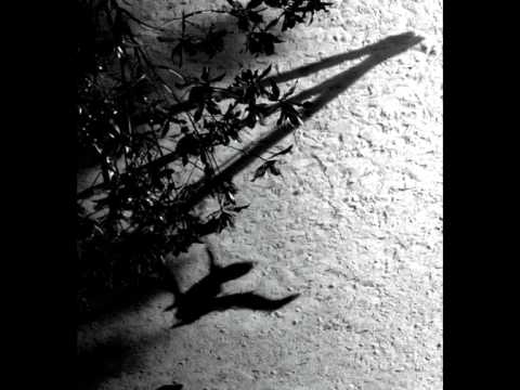 Max Richter - On the Nature of Daylight