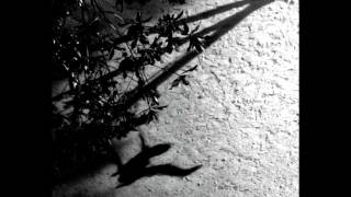 Max Richter - On the Nature of Daylight video