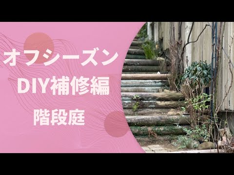 庭の古い手押し車を本当に魔法のフラワープランターに変えるにはどうすればよいでしょうか?  庭園