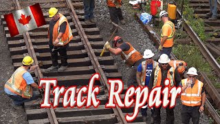 🚂 Emergency Railway Track Repair ⛏️