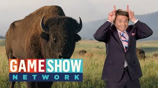 NEW Episodes of America Says Coming May 31! | Game Show Network