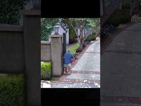 GTA 5 - Franklin's Bad Day