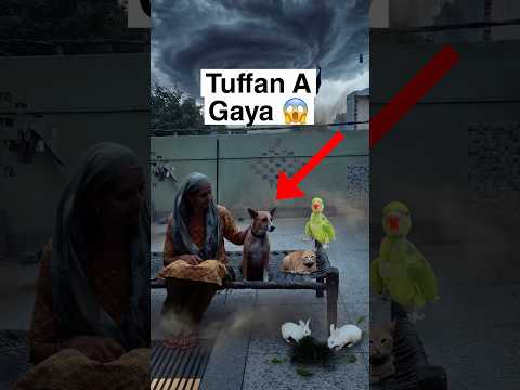 Tuffan Me Pluto Ne Dance Kiya 😦