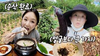 Download lagu 밭일하고 시원하게 물회,들깨삼계탕 먹방!!ㅣ전원주택,텃밭,시골밥상,한식뷔페 mp3 Download lagu 밭일하고 시원하게 물회,들깨삼계탕 먹방!!ㅣ전원주택,텃밭,시골밥상,한식뷔페 mp3