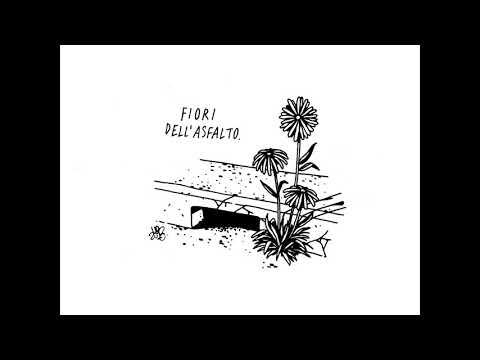 Josa Gun Feat. Stabber - Fiori dell'asfalto - prod. Shkembor