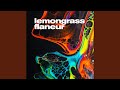 Flaneur