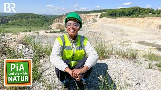 Wer wohnt im Steinbruch? | Reportage für Kinder | Pia und die wilde Natur | BR