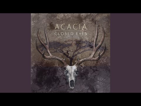 download lagu mp3 mp4 Acacia Makes It Worse, download mp3 Acacia Makes It Worse free download mp3, download mp3 Acacia Makes It Worse