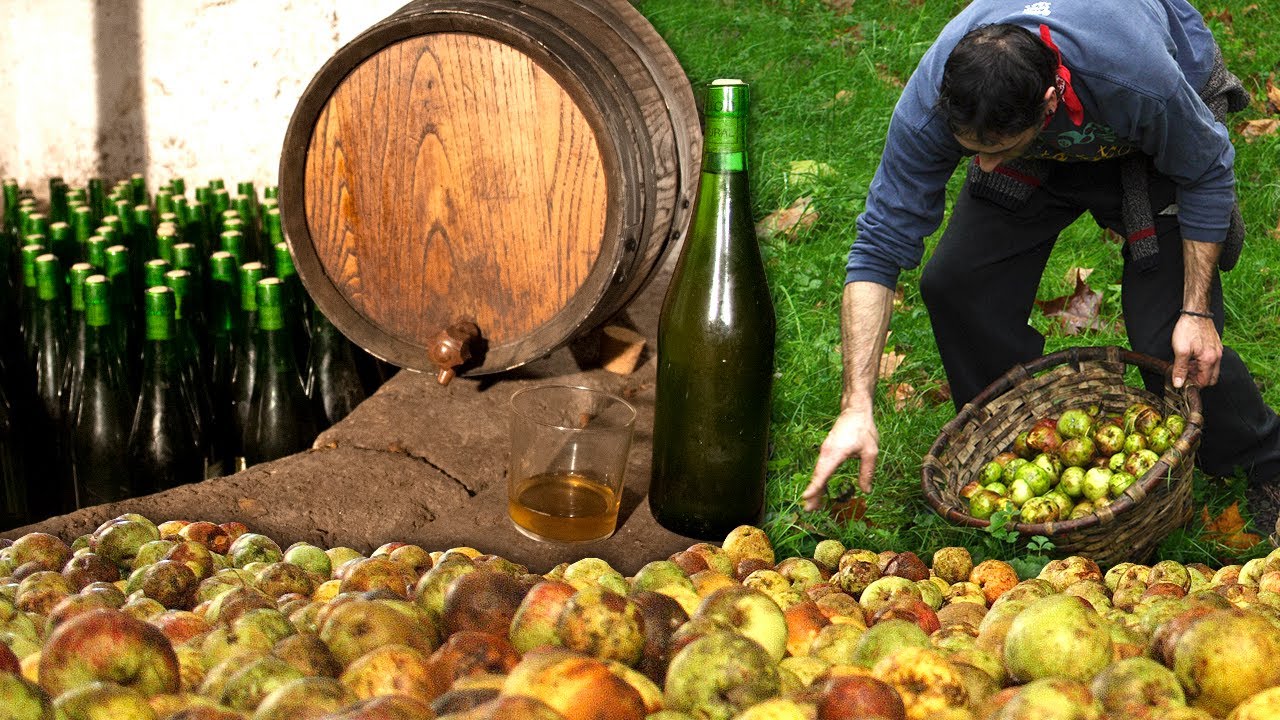 SIDRA artesana. Elaboración tradicional de esta bebida a partir de manzanas sidreras | Documental
