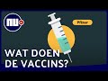 Tweede vaccinatie uitgesteld: Zo verschillen de twee Pfizer-prikken | NU.nl