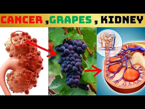 Unlocking Tomato Superpowers Avoid Health Risks with These Tips