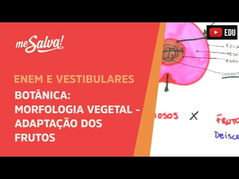 Me Salva! BOT44 - Botânica - Morfologia vegetal: adaptações dos frutos I
