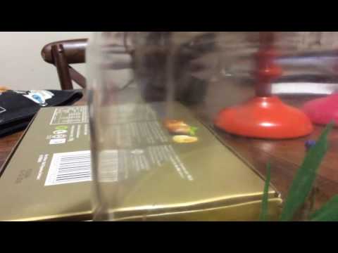 Omg so many spiders!