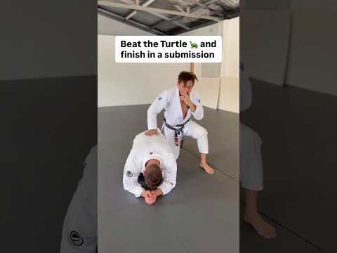 Beat the Turtle and finish in a submission