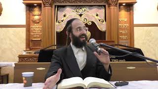 המרוץ אחר ההספקים ?! חוה"מ פסח תשפא - הרב דוד גבירצמן