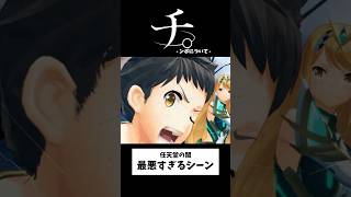これ公式ってマジ？【ホムラ Xenoblade2 (ゼノブレイド2) Nintendo Switch 2 Edition】