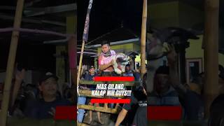 Download lagu MAS GILANG KALAP 😱😱😱 #bantengan #kalapan #gilang_id mp3