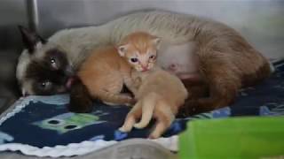 Love Will Find a Way