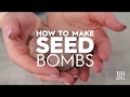 Seed Bombs | Made by Me - Garden | Better Homes & Gardens