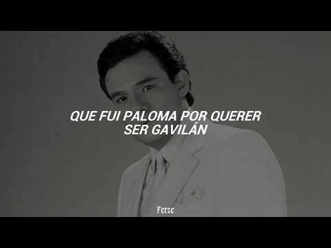 José José - Gavilán o Paloma (Letra)