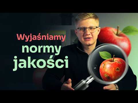 Etykieta, klasa jakości, palety - co musisz wiedzieć zanim wyślesz pierwszą dostawę