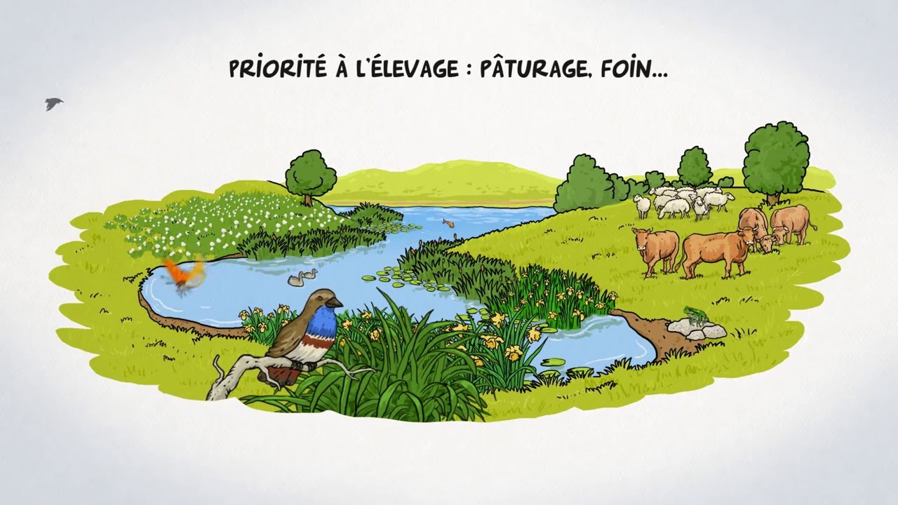 Les zones humides HauteGaronne