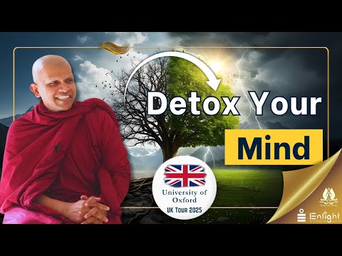Detox your mind [Oxford University ]