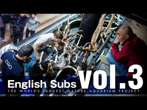 The World’s Largest NA Project: Story - Part 3