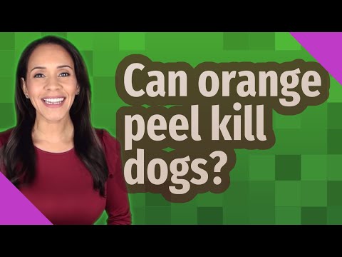 Can orange peel kill dogs?