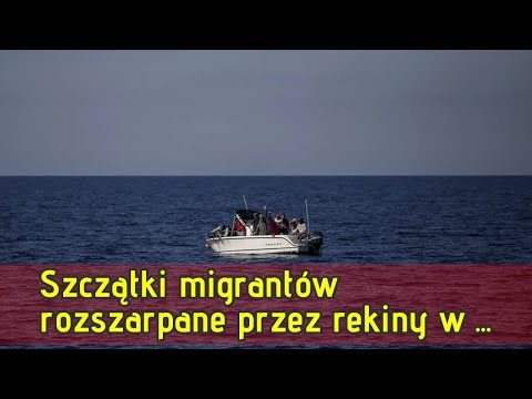 Płasko koślawe kolana w ciągu 7 lat Płaskie koślawego stóp postoju zdjęcie