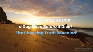How Many Seizures Can a Dog Have Before It Dies? The Shocking Truth Revealed