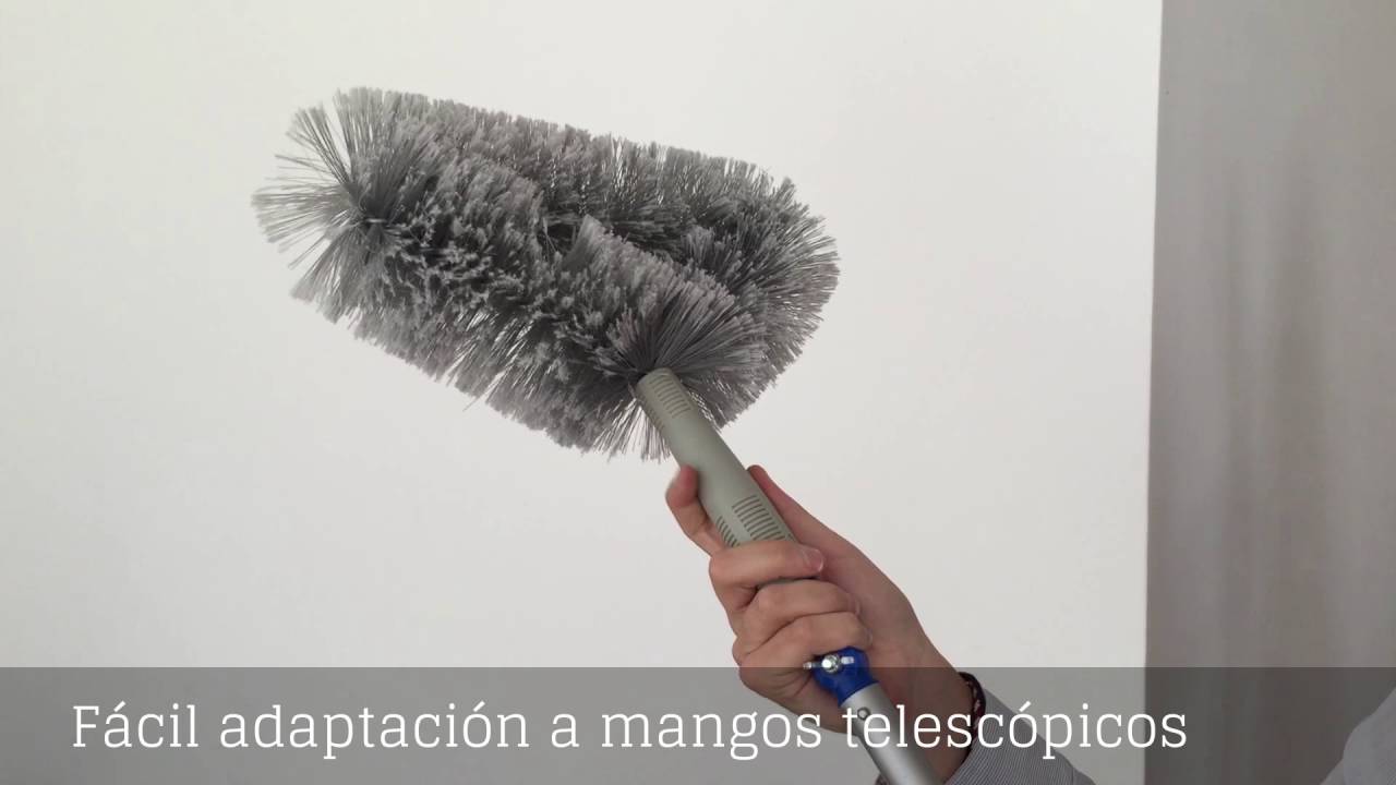 Limpieza de techos y paredes fácilmente