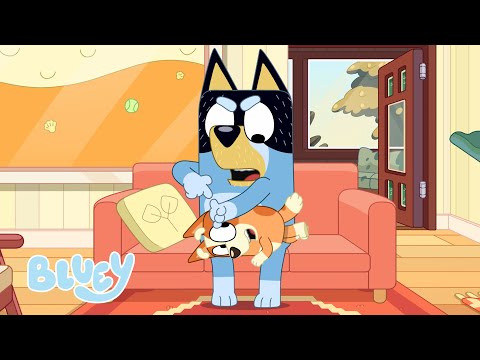 Le gouvernement | LES PETITES HISTOIRES DE BLUEY | Bluey Français Chaîne Officielle