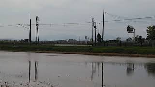 列車番号942M　羽越本線（岩船町～平林）19/05/06　動物と接触のため、25分程度の遅れで運行再開